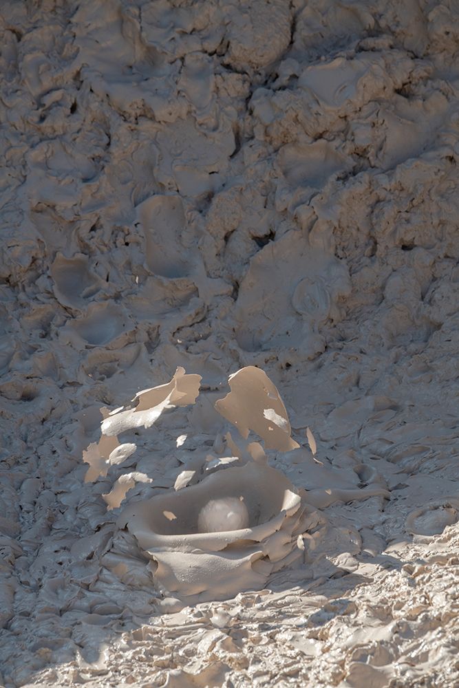 USA-Wyoming-Yellowstone National Park-Atrists Paintpots-Boiling hot mud pots-Detail of exploding bu